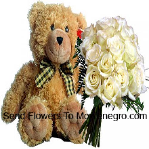 19 Witte Rozen met 14 Inch Teddy