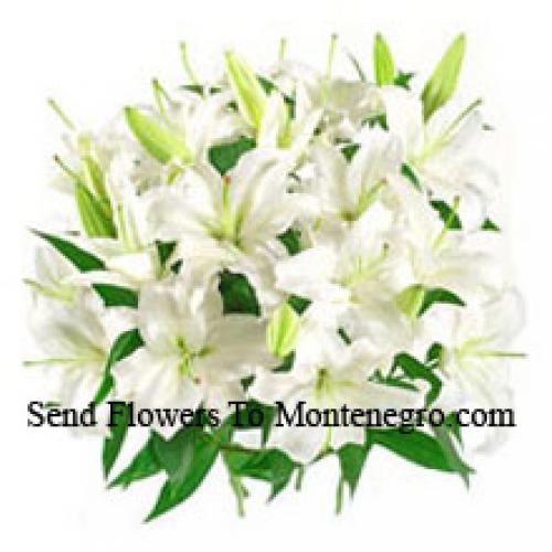 White Lilies with Fillers